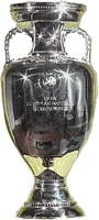 Campione d'Europa 2008